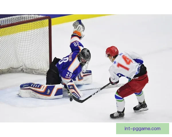冰球公开赛：热血对决，疾风劲战