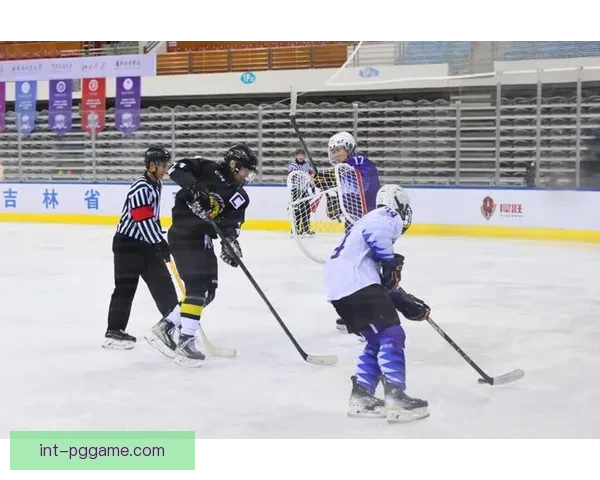 冰球对抗赛：冰上激情对决