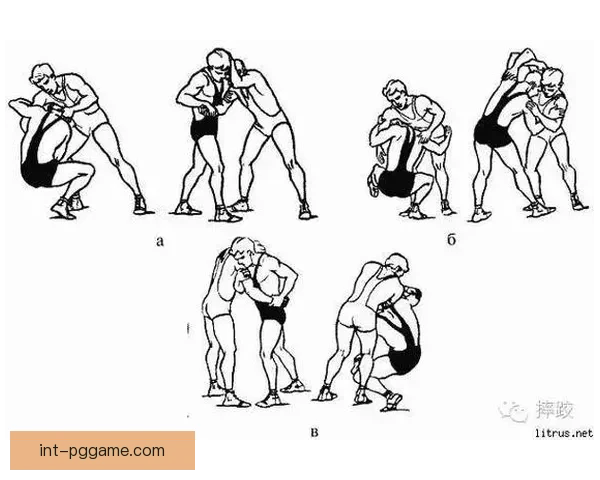 摔跤技巧大全：实用教学视频分享