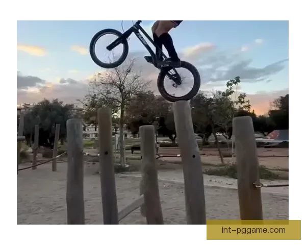 极速穿越挑战：山地车赛事精彩回放