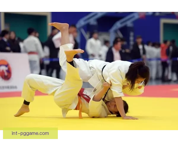 柔道公开赛：引领武道之风