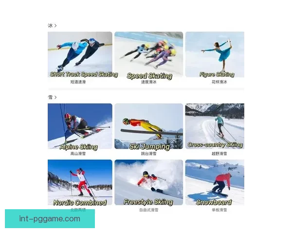 滑冰投注技巧大揭秘：让您成为滑冰投注高手