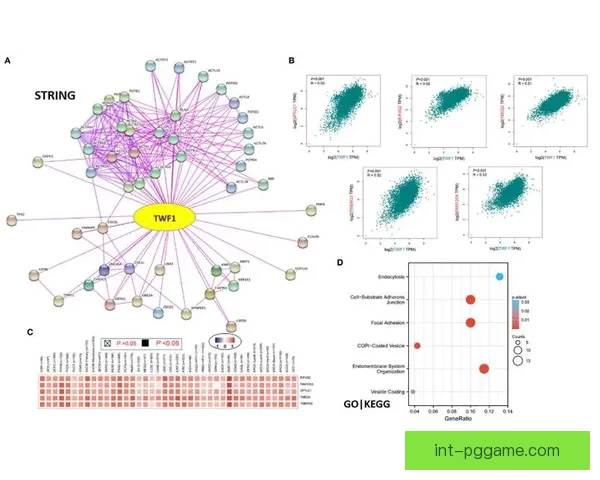 橄榄球数据分析：揭秘胜负关键因素