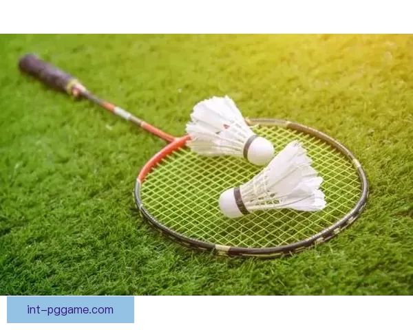 羽毛球训练技巧大揭秘,助力提升实战水平 羽毛球训练技巧大揭秘,助力提升实战水平