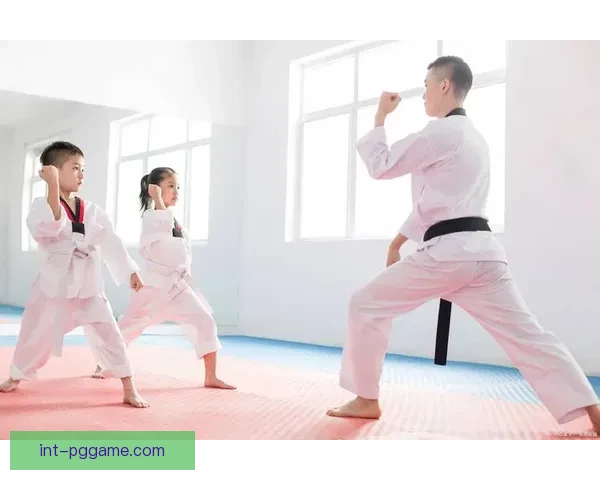 跆拳道冠军的成长之路：坚毅拼搏，勇攀高峰