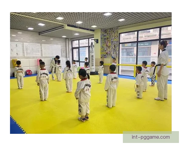 跆拳道排名系统及运用技巧详解