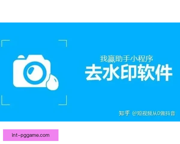 赛艇投注技巧大揭秘,助您轻松成为资深投手 赛艇投注技巧大揭秘,助您轻松成为资深投手